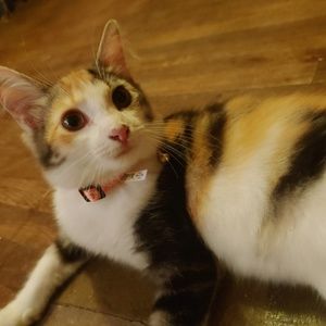 Meet your Posher, Karen